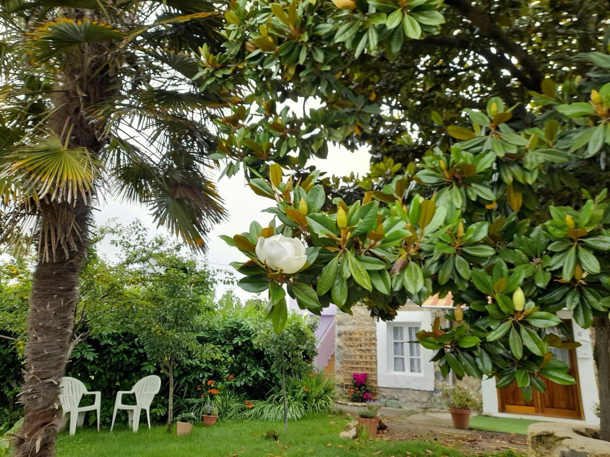 Casamarietacantabria Reocin Exterior photo